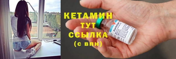 прущие грибы Ельня
