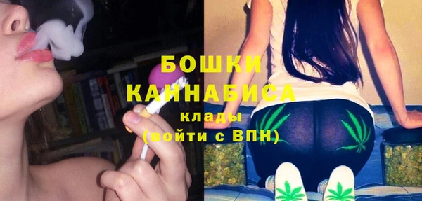 прущие грибы Ельня