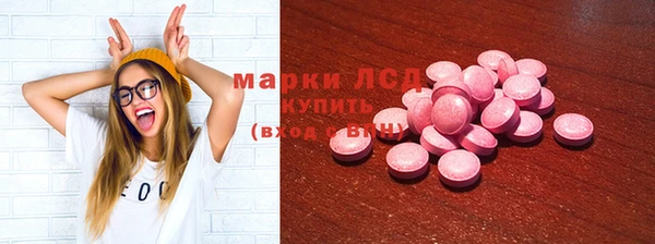 прущие грибы Ельня