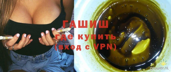 прущие грибы Ельня