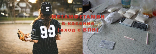 прущие грибы Ельня