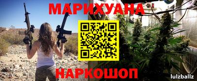 сатива Кандалакша