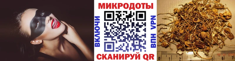площадка как зайти  Кохма  Псилоцибиновые грибы MAGIC MUSHROOMS 