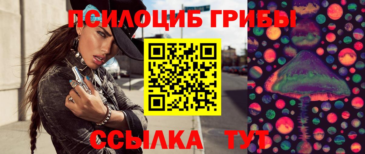 Псилоцибиновые грибы прущие грибы  Кохма 