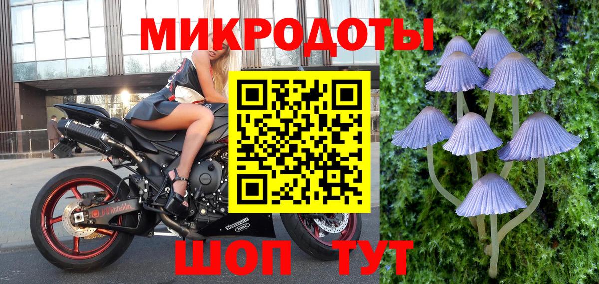 Псилоцибиновые грибы MAGIC MUSHROOMS Кохма
