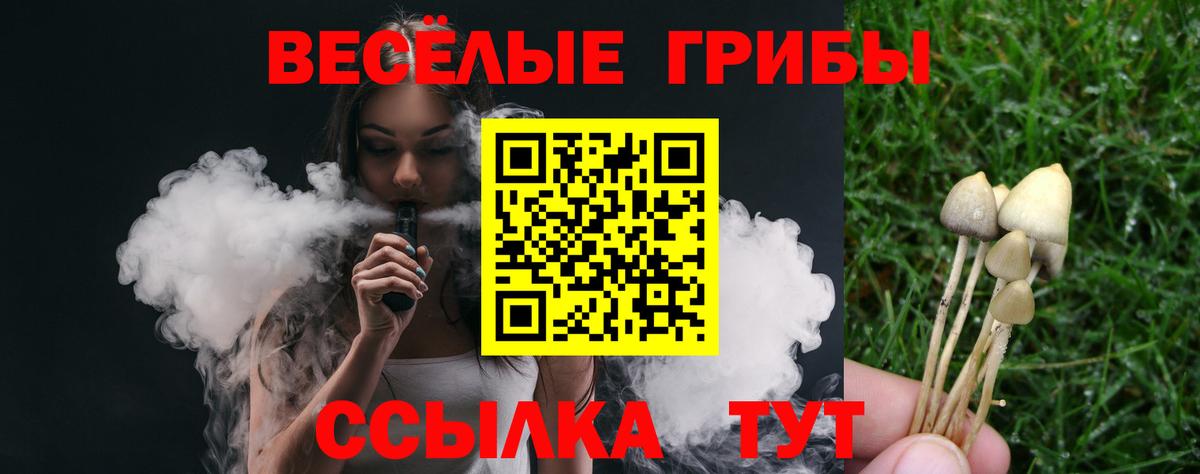 Псилоцибиновые грибы прущие грибы  Вход с VPN  Кохма 